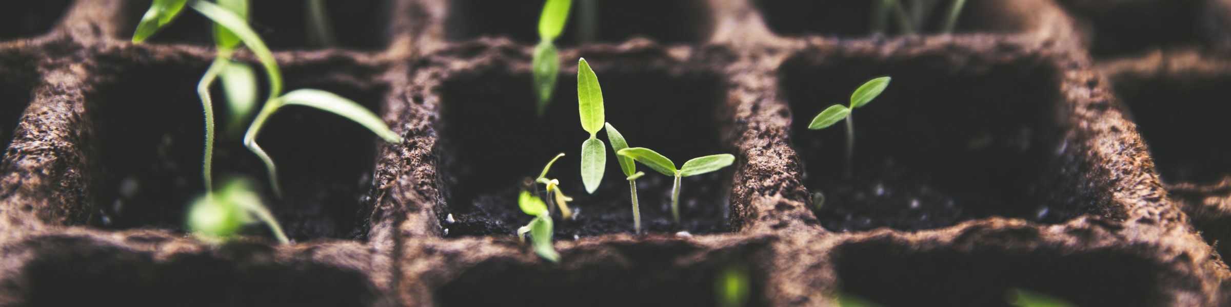 Business Growth - connect with your customers - Press Creative Branding and Marketing Stafford